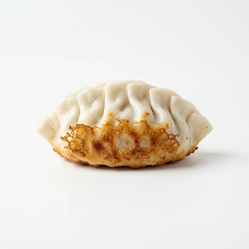 Crispy Golden Pan-Fried Potsticker Dim Sum Squishy Toy